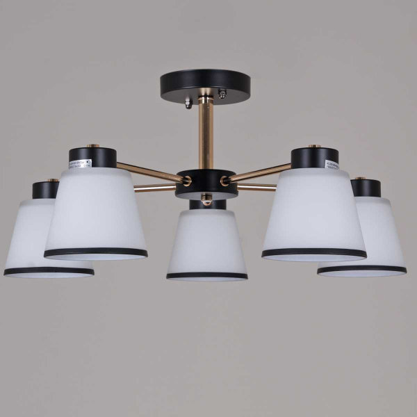 Потолочная люстра Reluce 30560-0.3-05 BK+FG