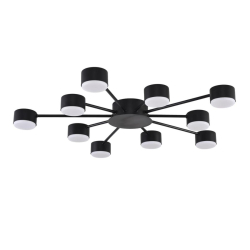 Люстра Lumion COMFI 8344/10C