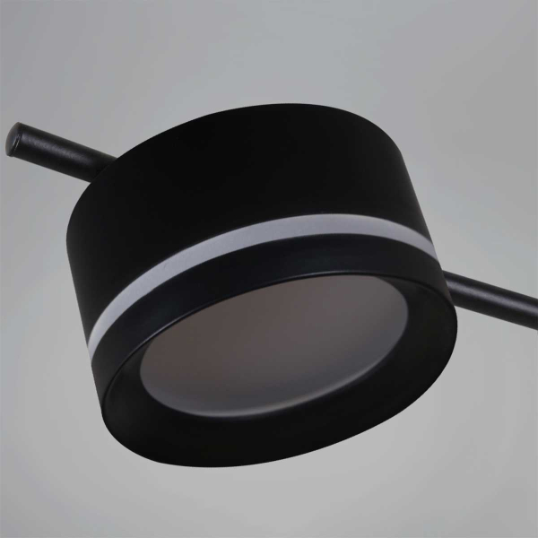 Потолочная люстра Reluce 10590-0.3-06 Black