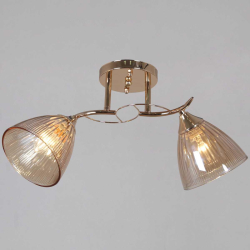 Потолочная люстра Reluce 02560-0.3-02 FG