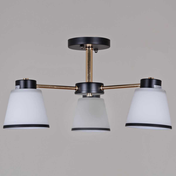 Потолочная люстра Reluce 30560-0.3-03 BK+FG