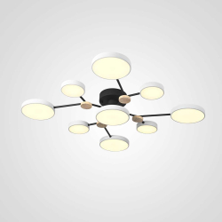 Потолочная люстра Imperium Loft Gamma D98 White 223762-23