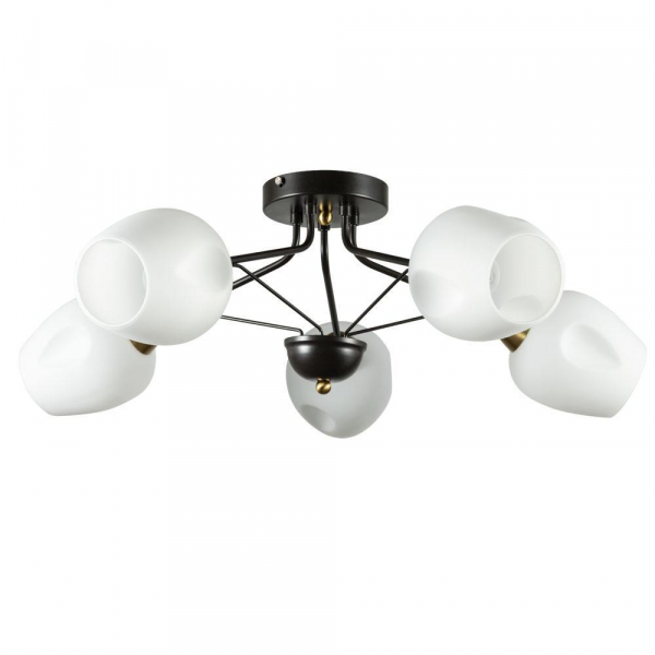 Потолочная люстра Arte Lamp Brighton A2706PL-5CK