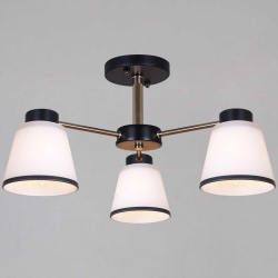 Потолочная люстра Reluce 30560-0.3-03 BK+FG