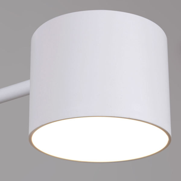 Потолочная люстра Reluce 47206-0.3-06WT