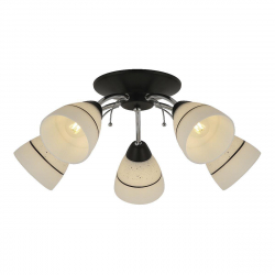 Потолочная люстра Toplight Winnifred TL1255D-05BC