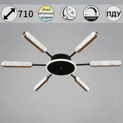 Потолочная люстра Reluce 08290-0.3-06 BK+GD