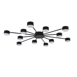 Люстра Lumion COMFI 8344/12C