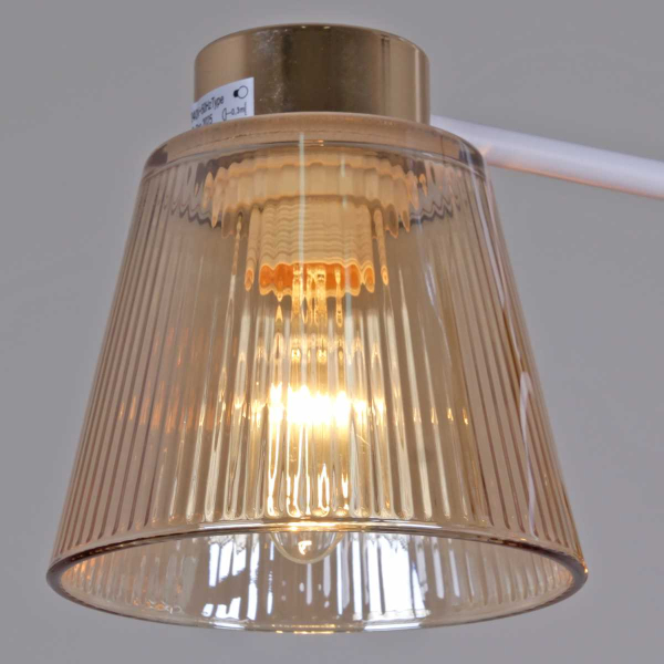 Потолочная люстра Reluce 20560-0.3-02 WH+FG