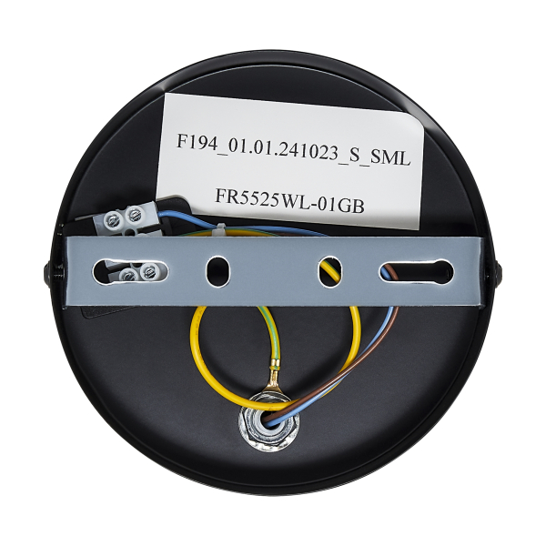 Настенный светильник (бра) Freya FR5525WL-01GB