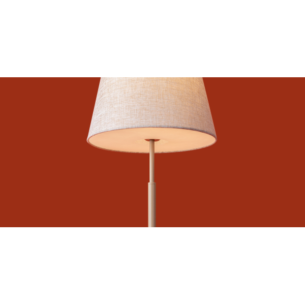 Настольный светильник Freya FR2057TL-01BG