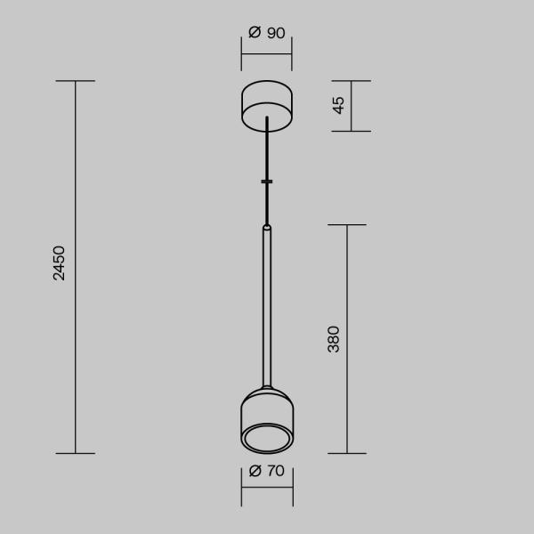 Подвесной светильник Outdoor O491PL-L8B3K Подвесной светильник Outdoor O491PL-L8B3K