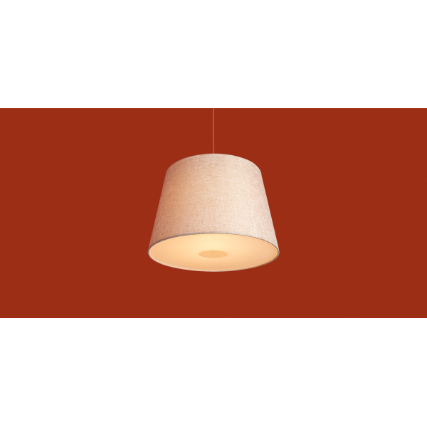 Подвесной светильник Freya FR2057PL-01BG