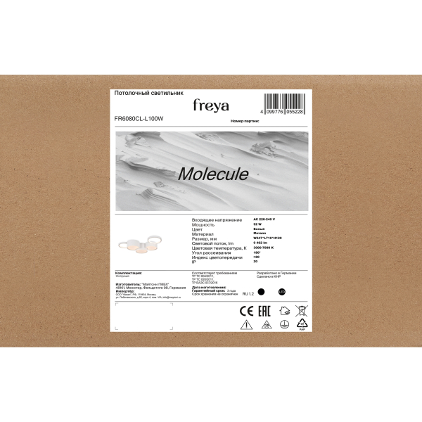 Потолочный светильник Freya FR6080CL-L100W