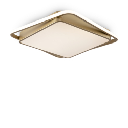 Потолочный светильник Freya FR10026CL-L93G