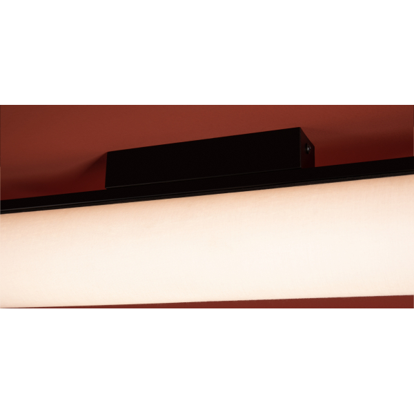 Потолочный светильник Freya FR5625CL-L20B