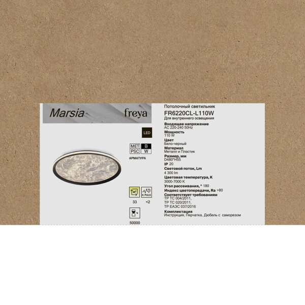 Потолочный светильник Freya FR6220CL-L110W
