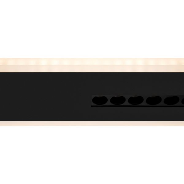 Потолочный светильник Freya FR6105CL-L40B