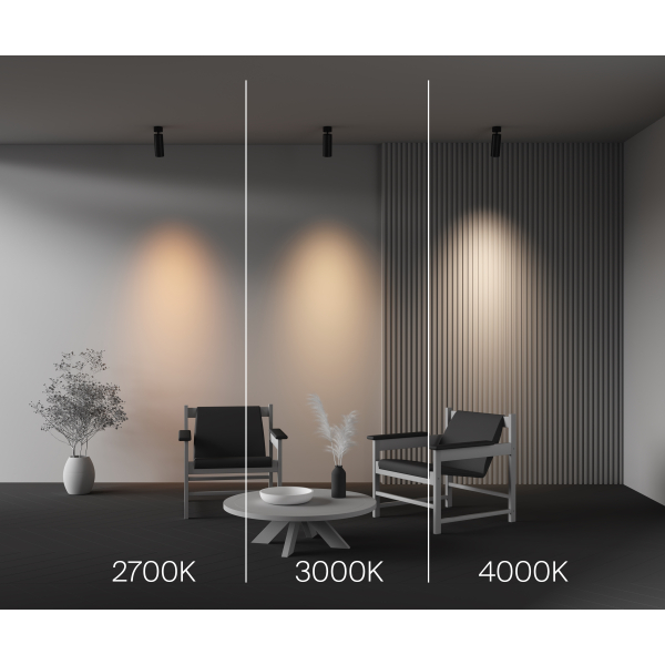 Потолочный светильник Technical C055CL-L20W2.7-3-4K-M-B