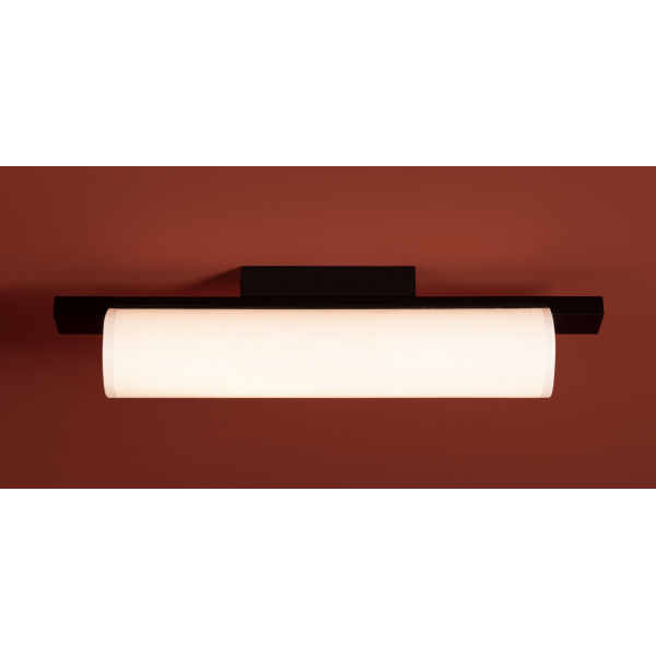 Потолочный светильник Freya FR5625CL-L20B