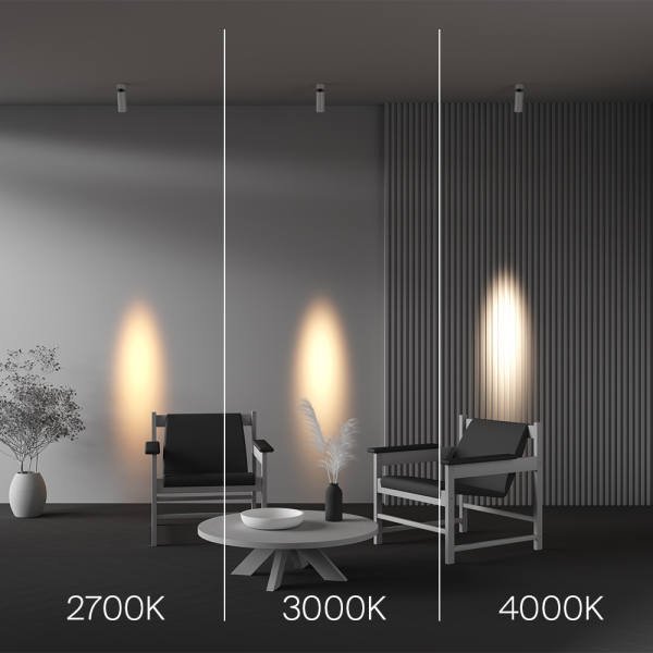 Потолочный светильник Technical C055CL-L12W4K-SS-W Потолочный светильник Technical C055CL-L12W4K-SS-W