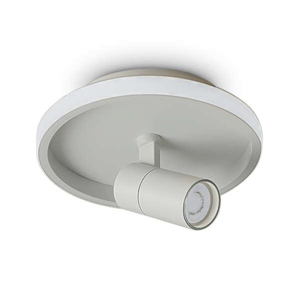 Потолочный светильник Freya FR6040CL-L14W