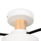 Потолочный светильник Freya FR6119CL-L48W