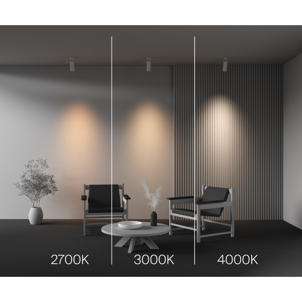 Потолочный светильник Technical C055CL-L20W2.7-3-4K-M-W