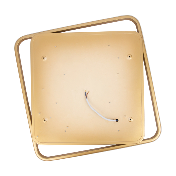 Потолочный светильник Freya FR10026CL-L93G
