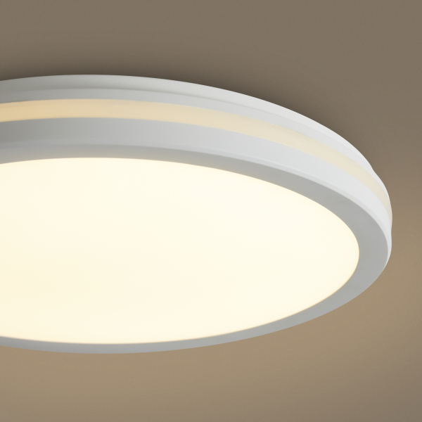 Потолочный светильник Freya FR6160CL-L40W