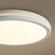 Потолочный светильник Freya FR6160CL-L40W