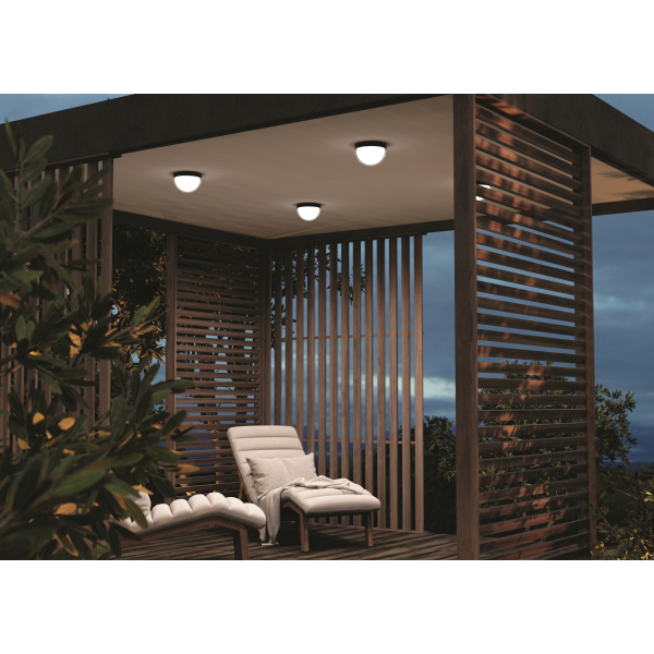 Потолочный светильник Outdoor O438CL-L12GF3K Потолочный светильник Outdoor O438CL-L12GF3K
