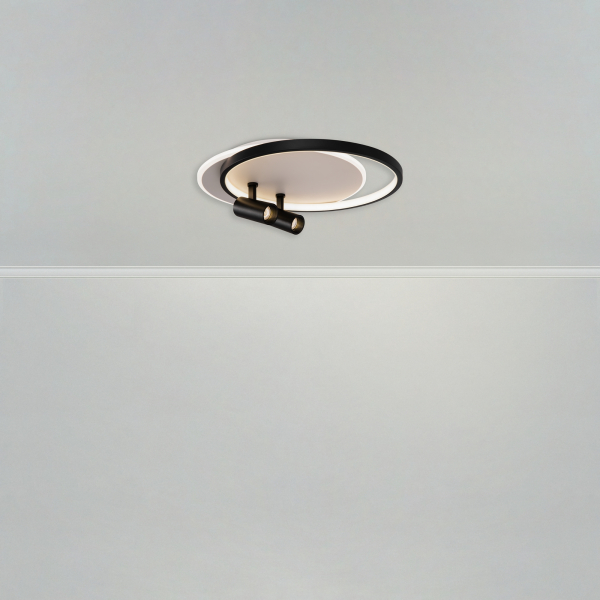 Потолочный светильник Freya FR6083CL-L106WB