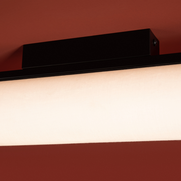 Потолочный светильник Freya FR5625CL-L20B