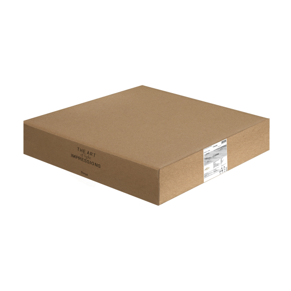 Потолочный светильник Freya FR5450CL-L120BG