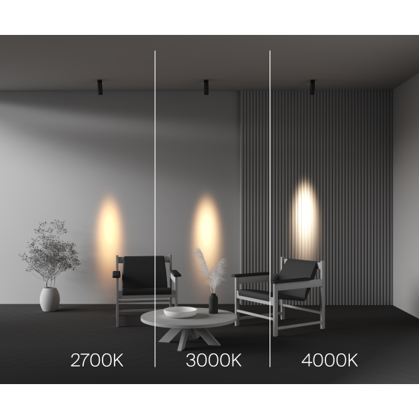 Потолочный светильник Technical C055CL-L12W4K-SS-B Потолочный светильник Technical C055CL-L12W4K-SS-B