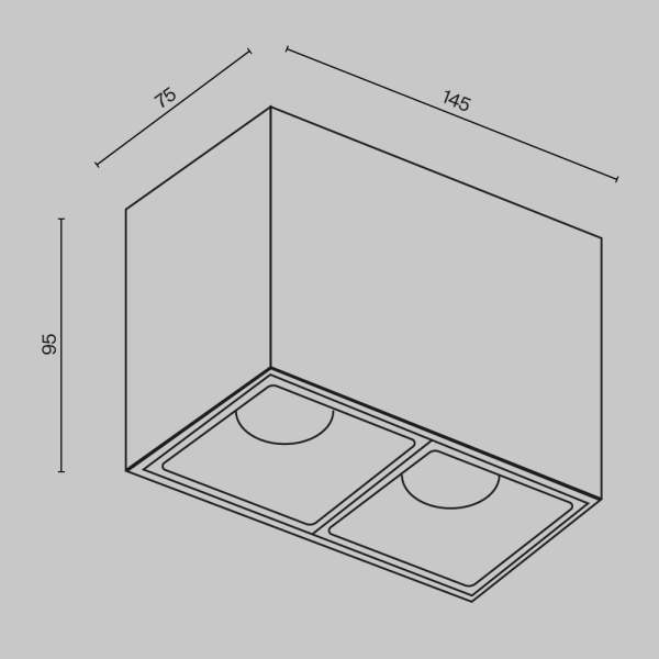 Потолочный светильник Technical C065CL-02-L12W3K-B Потолочный светильник Technical C065CL-02-L12W3K-B