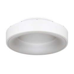Потолочный светильник Freya FR6118CL-L45W
