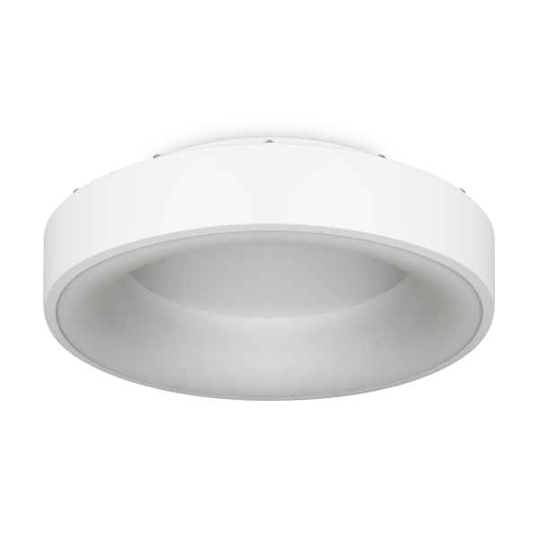 Потолочный светильник Freya FR6118CL-L45W