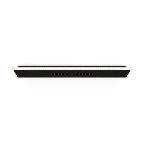 Потолочный светильник Freya FR6105CL-L40B