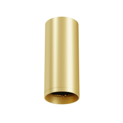 Потолочный светильник Technical C010CL-01MG-N