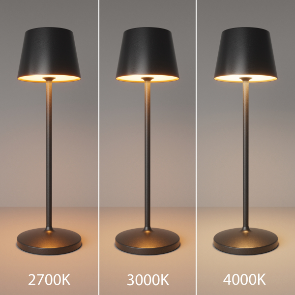 Аккумуляторный светильник Maytoni MOD494RL-L1BK