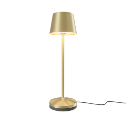 Аккумуляторный светильник Maytoni MOD494RL-L1BSK