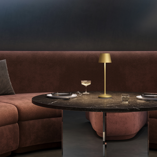 Аккумуляторный светильник Maytoni MOD494RL-L1BSK