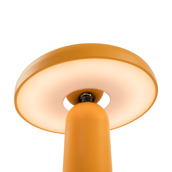 Аккумуляторный светильник Freya FR6109TL-L4OR