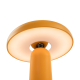 Аккумуляторный светильник Freya FR6109TL-L4OR