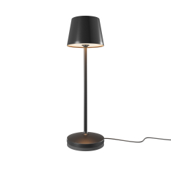 Аккумуляторный светильник Maytoni MOD494RL-L1BK