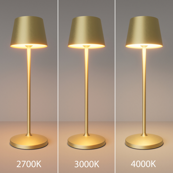 Аккумуляторный светильник Maytoni MOD494RL-L1BSK