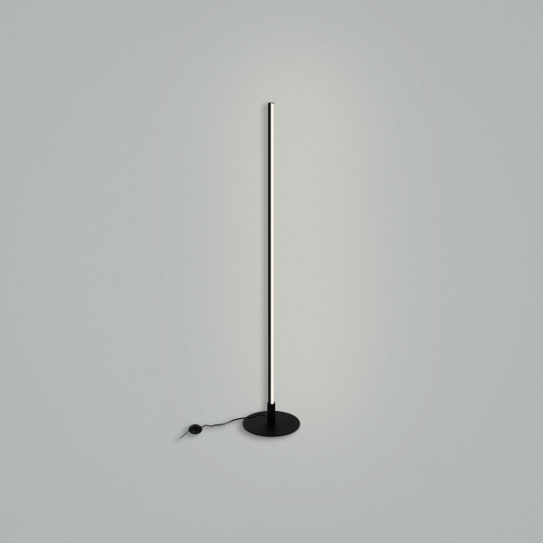 Напольный светильник (торшер) Freya FR6122FL-L22B