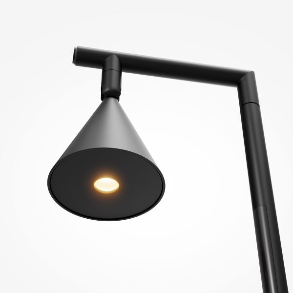 Напольный светильник (торшер) Maytoni MOD489FL-L20B3K